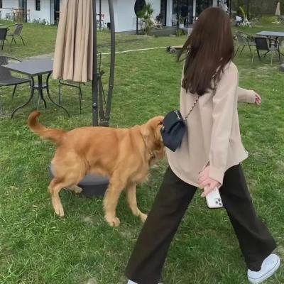 花仙子森林寻友记